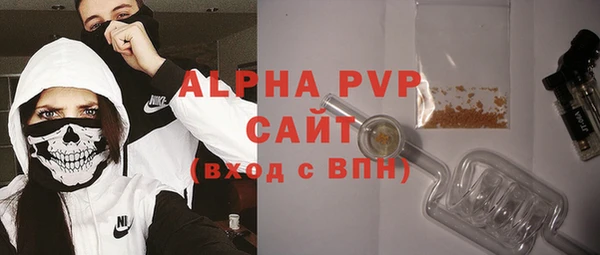 прущие грибы Вязники