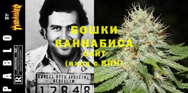 прущие грибы Вязники