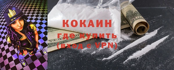прущие грибы Вязники