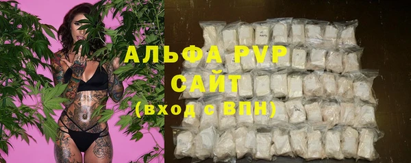 прущие грибы Вязники
