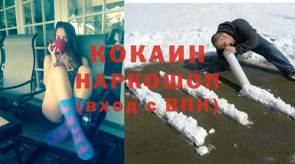 прущие грибы Вязники