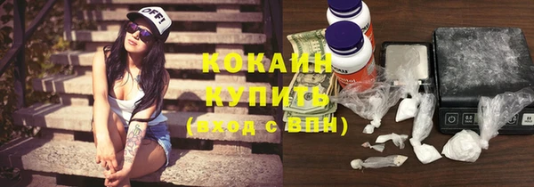 дживик Верея